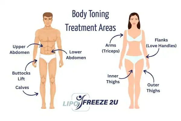 Graphic showing where you can have Body toning Treatment Llanelli on your body